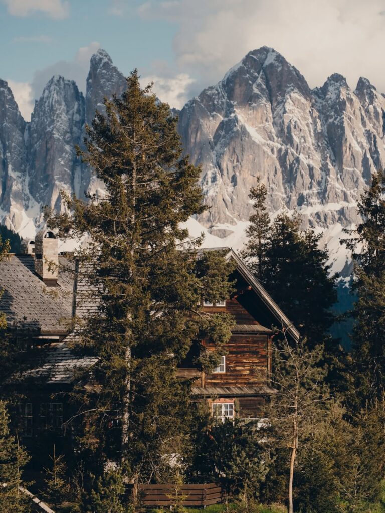 forestis dolomites