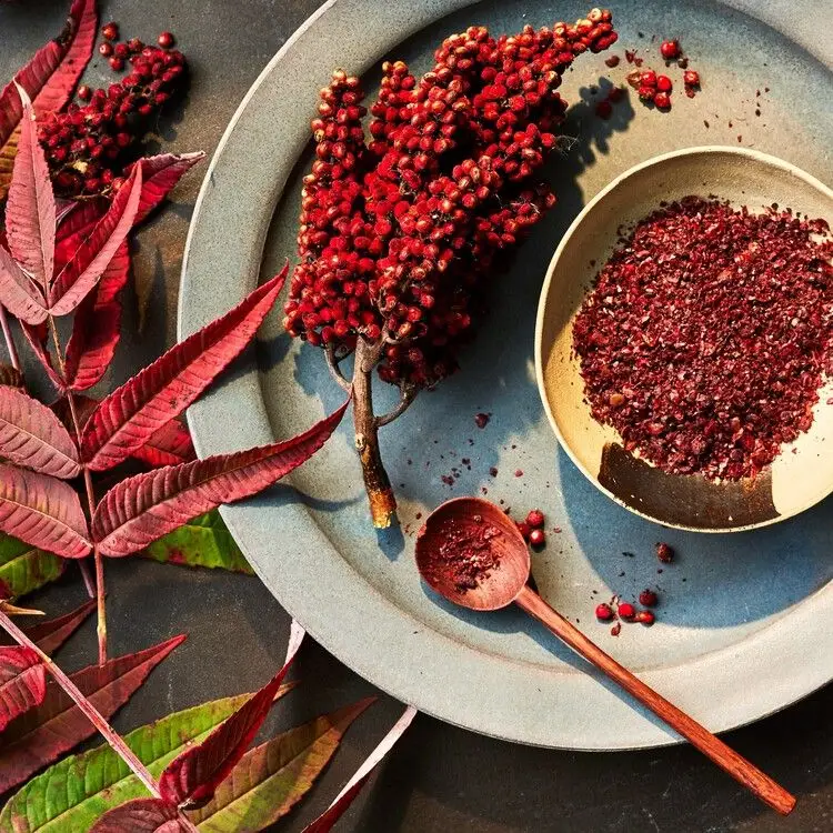 nom:me | Sumac: Beyond the Spice with Chef Salam Daqqaq of Bait Maryam
