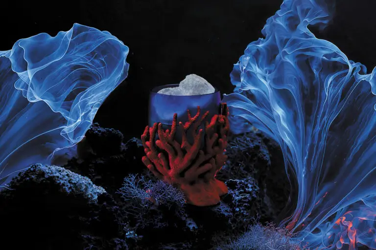 nom:me | DEPTHS: A New Cocktail Menu at Sexy Fish Dubai